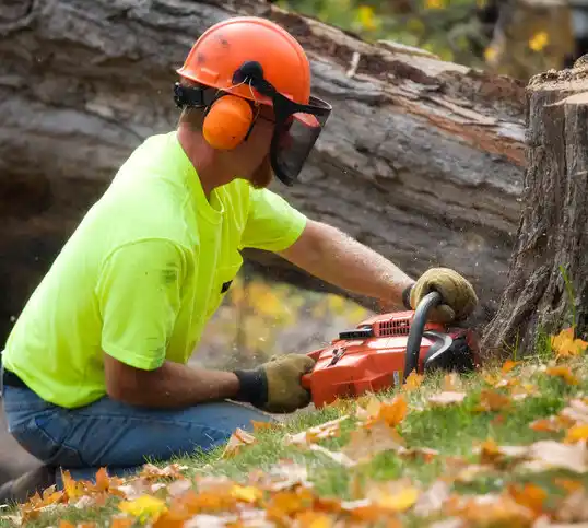 tree services Leawood